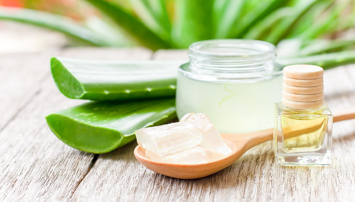Hochwertigen Zutaten für unsere Aloe Vera-Creme