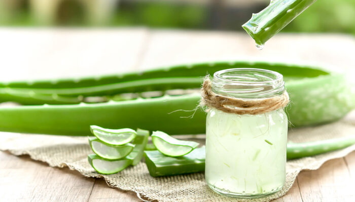 Aloe Vera-Creme selber machen – natürlich & 100% vegan