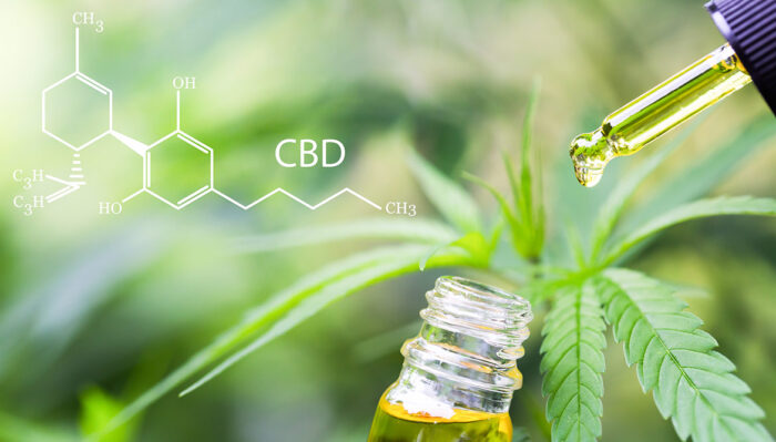 CBD (Cannabidiol) – Heilen mit der Kraft der Natur