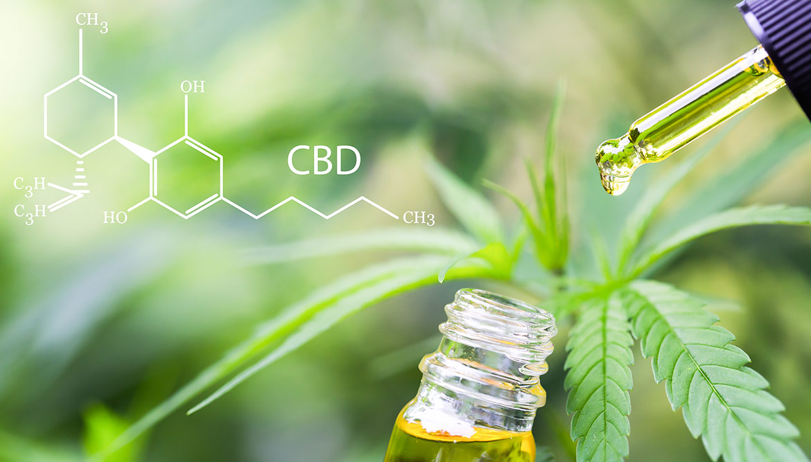CBD (Cannabidiol) – Heilen mit der Kraft der Natur
