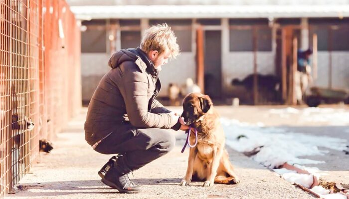 Ein Leben für den Tierschutz – Interview mit Andrea Mailänder