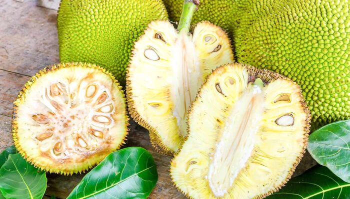 Jackfruit: der ideale Fleischersatz für Veganer und Vegetarier