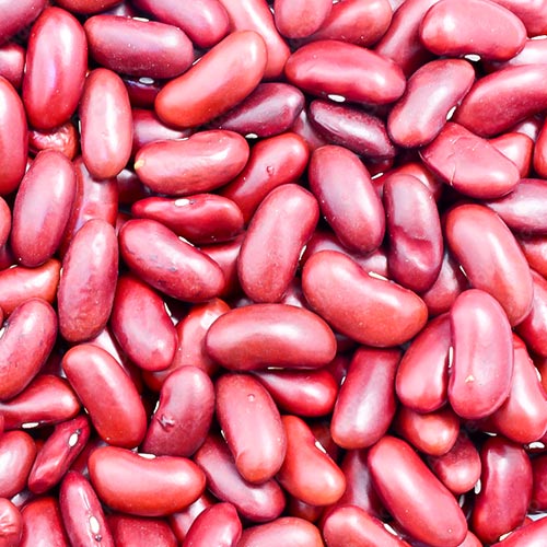 Vegan Eiweiß Kidneybohnen