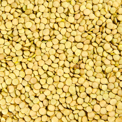 Vegan Eiweiß Linsen
