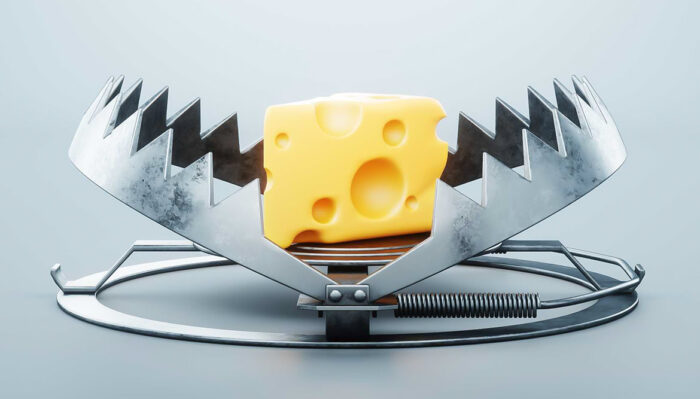 Vegan-Falle: 7 Lebensmittel, die überraschenderweise nicht vegan sind!