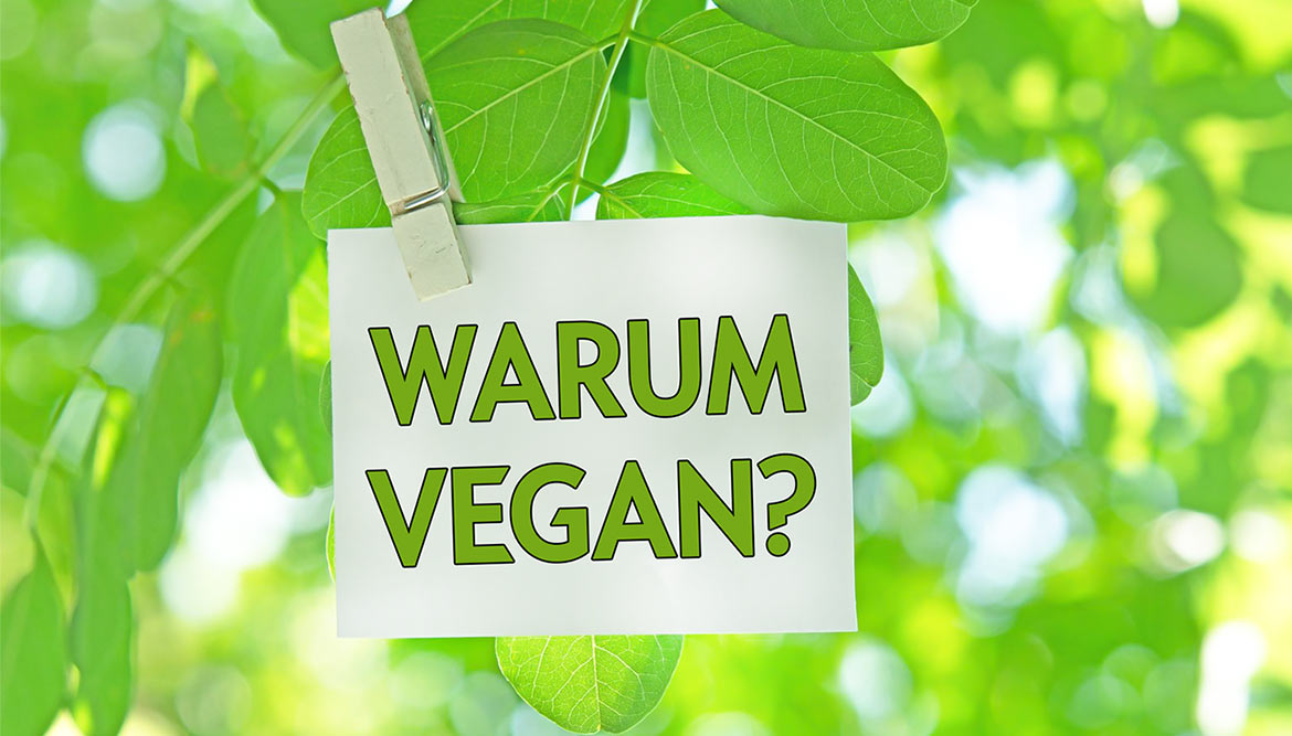 Warum sollte man vegan werden?